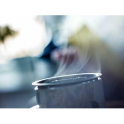 Mediocre Plastic Coat fr-FR